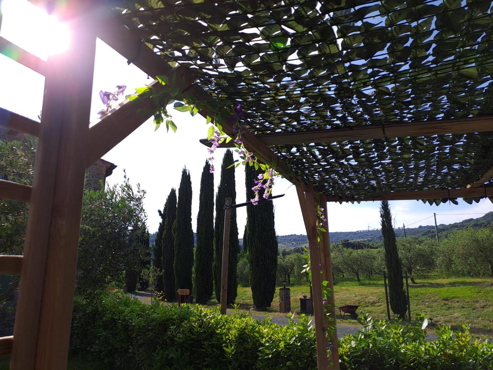 Podere Oliveta Montecatini Val di Cecina Exterior photo